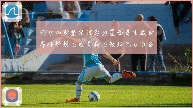 巴尔加斯坚定信念为墨西哥出战世界杯梦想已成真我已做好充分准备