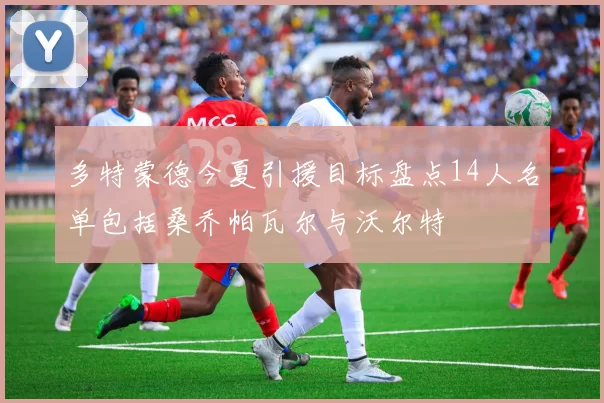 多特蒙德今夏引援目标盘点14人名单包括桑乔帕瓦尔与沃尔特
